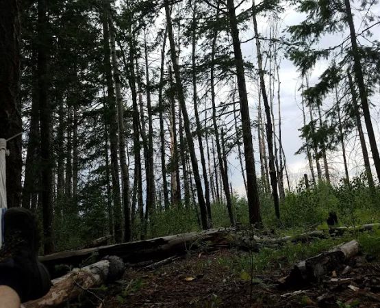 Hannagan Meadow Recreation Area (recgovnpsdata)