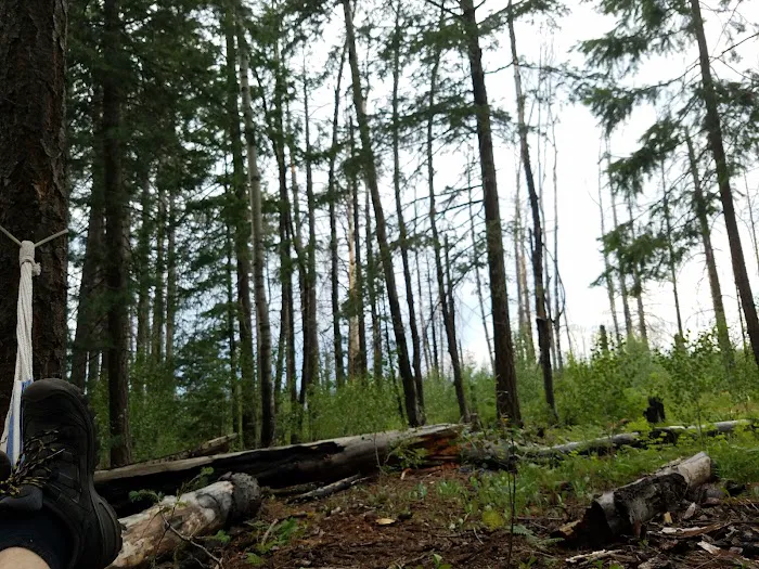 Hannagan Meadow Recreation Area (recgovnpsdata) 1