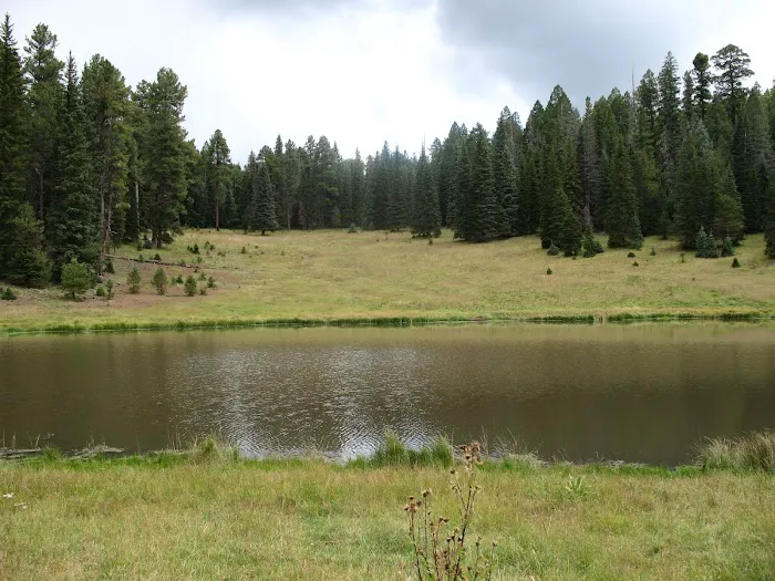Steeple/Foote Creek Trailhead (recgovnpsdata) 8