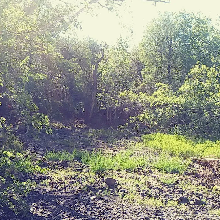 Honeymoon Campground 5