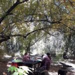 Honeymoon Campground