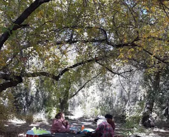 Honeymoon Campground