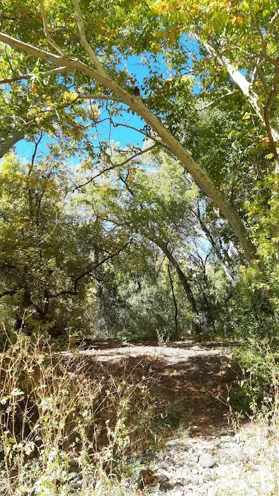 Honeymoon Campground 8