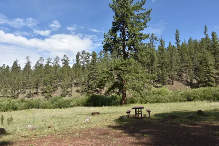 Buffalo Crossing Campground 2