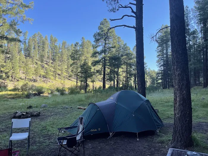 Buffalo Crossing Campground 8