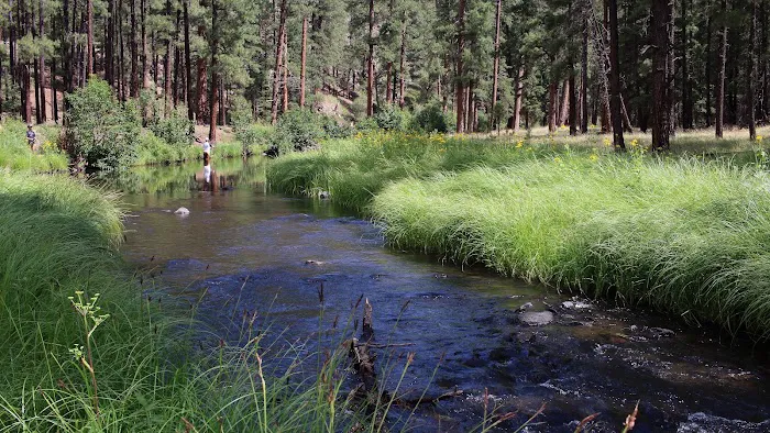 Horse Springs Campground 3