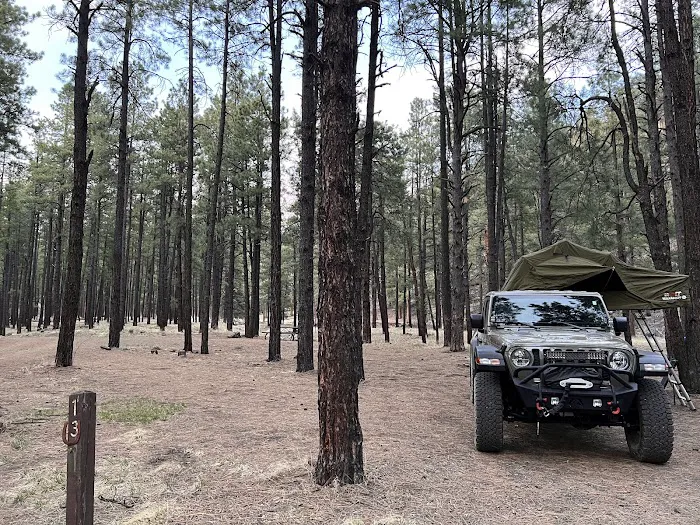 Horse Springs Campground 2