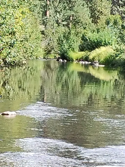 Horse Springs Campground 0