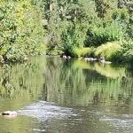 Horse Springs Campground