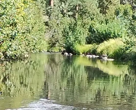 Horse Springs Campground