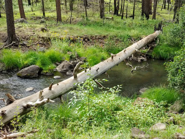 Horse Springs Campground 1