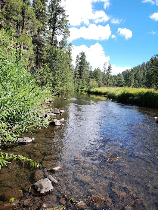 Horse Springs Campground 7