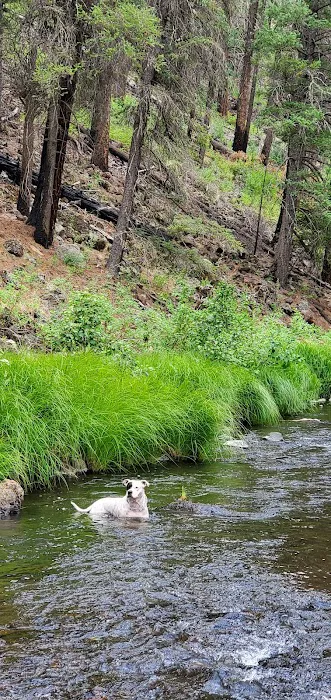 Horse Springs Campground 8