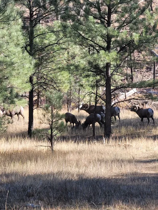 Horse Springs Campground 9