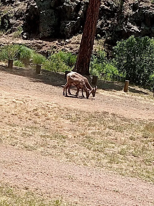 East Fork Recreation Area 1