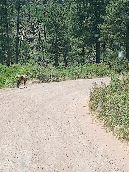 East Fork Recreation Area 2