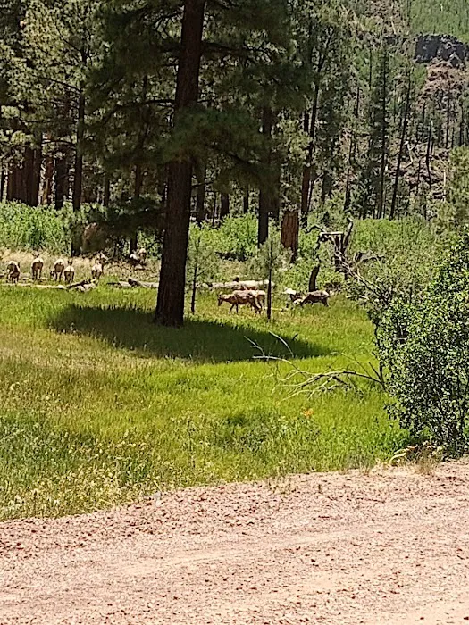 East Fork Recreation Area 0