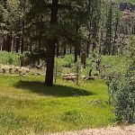 East Fork Recreation Area