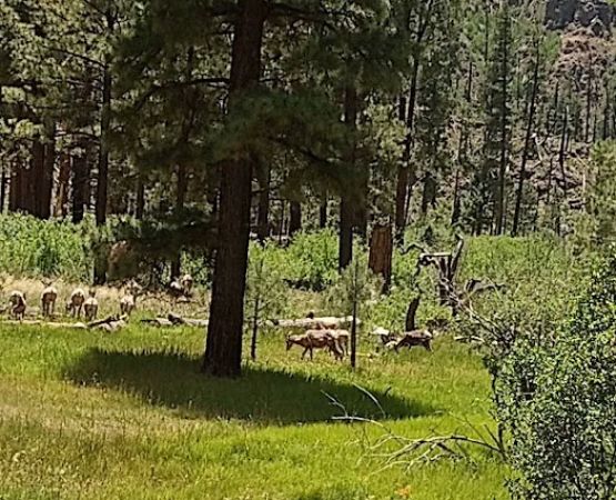 East Fork Recreation Area