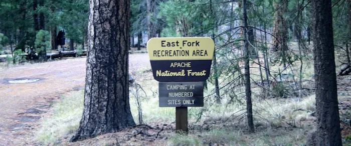 East Fork Recreation Area 9