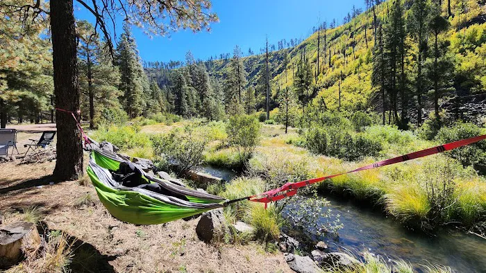 Raccoon Campground (recgovnpsdata) 6