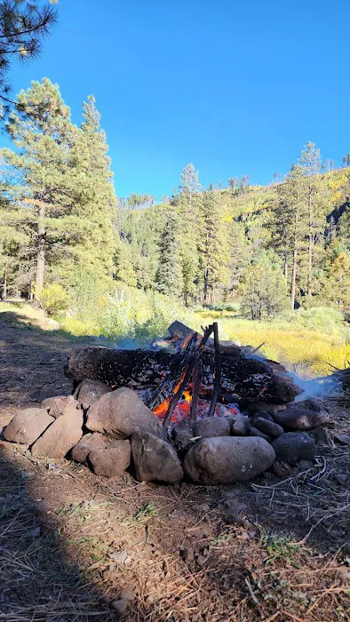 Raccoon Campground (recgovnpsdata) 4