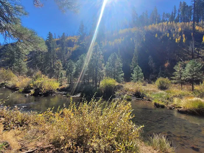 Raccoon Campground (recgovnpsdata) 1