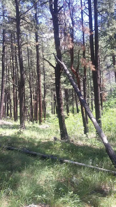 Raccoon Campground (recgovnpsdata) 2