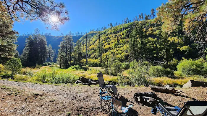 Raccoon Campground (recgovnpsdata) 3