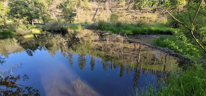 Raccoon Campground (recgovnpsdata) 5