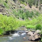 Raccoon Campground (recgovnpsdata)