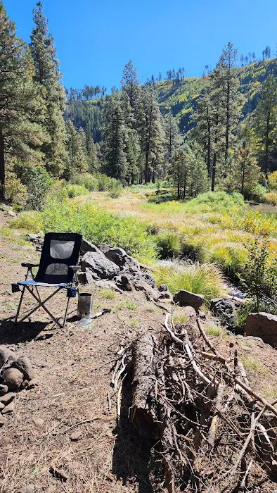 Raccoon Campground (recgovnpsdata) 7