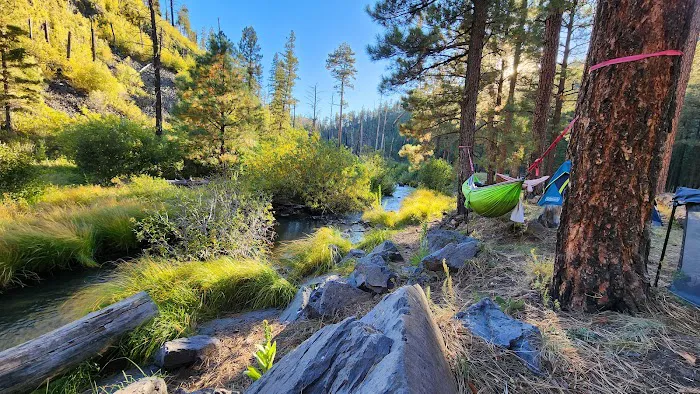 Raccoon Campground (recgovnpsdata) 8