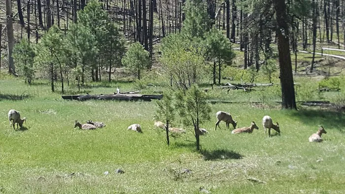 Deer Creek Campground (recgovnpsdata) 6