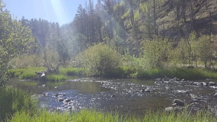 Deer Creek Campground (recgovnpsdata) 5