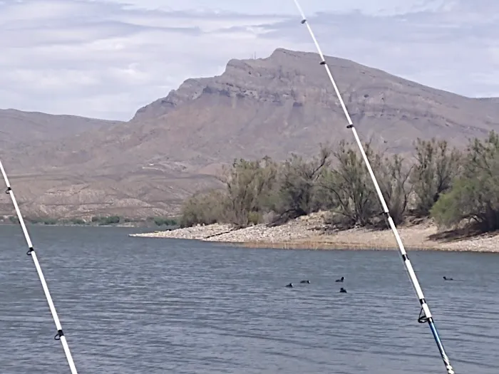 Palomino Campground 1