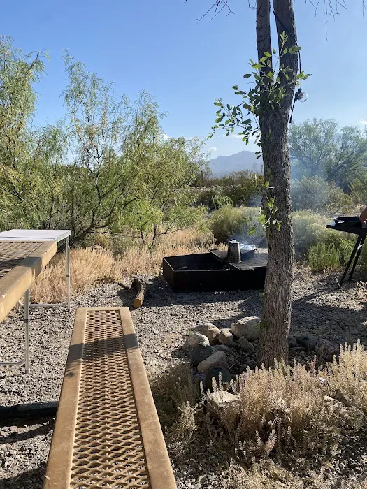 Palomino Campground 4