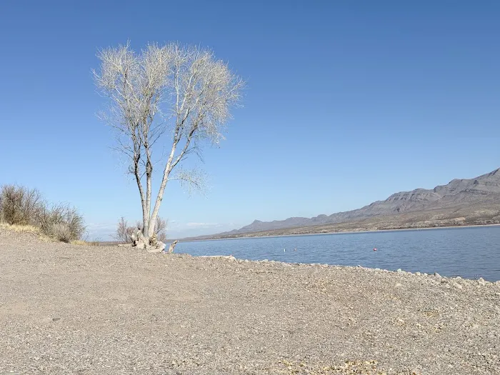 Palomino Campground 8