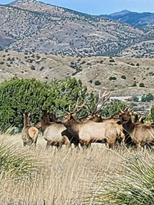 Horseman rv park 0