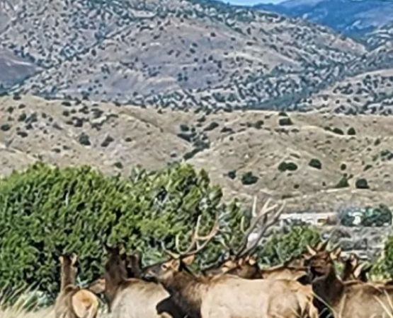 Horseman rv park