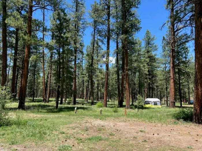 Amole Canyon Group Shelter 2