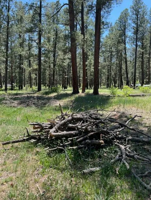 Amole Canyon Group Shelter 9