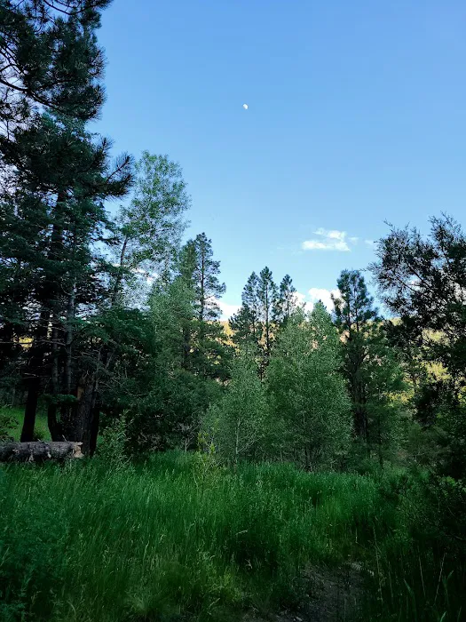 Comales Campground 2