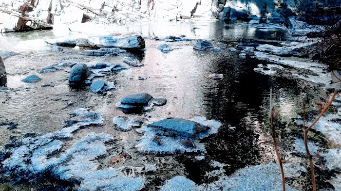 Comales Campground 8