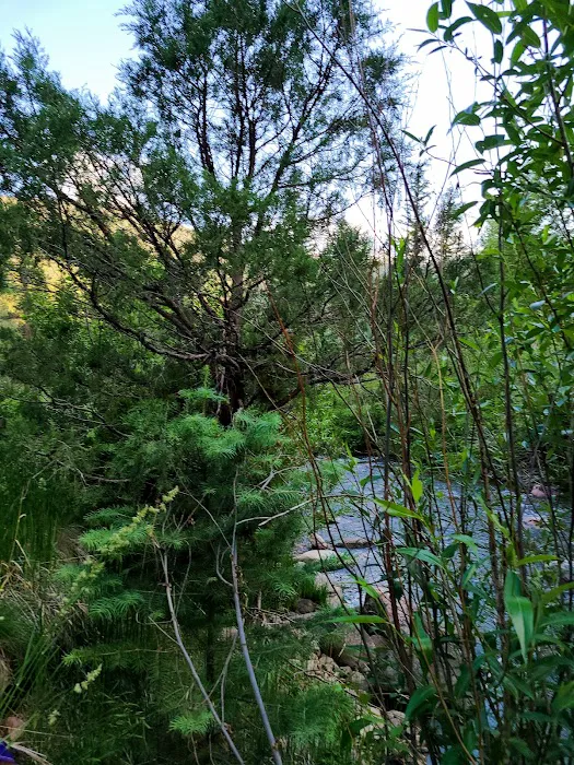 Comales Campground 3