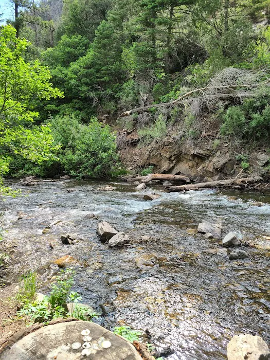 Comales Campground 4