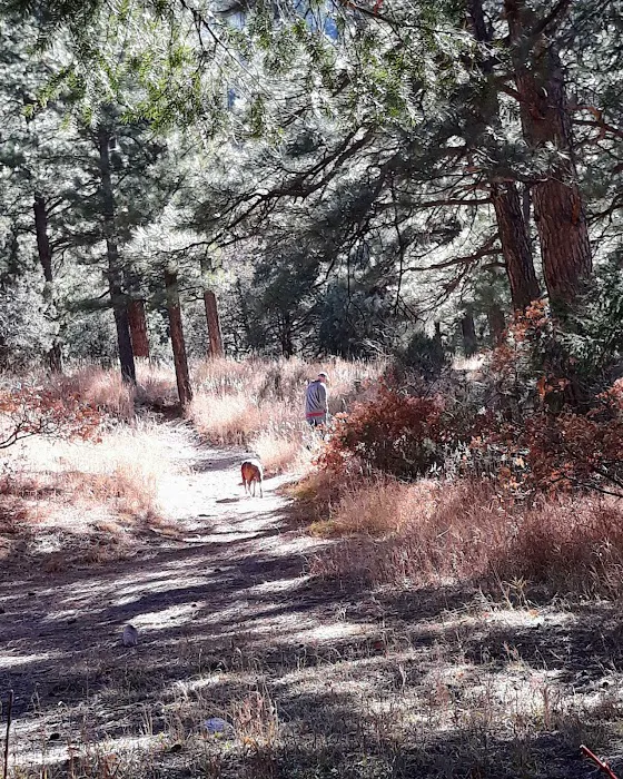 Comales Campground 7