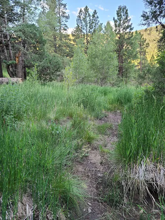 Comales Campground 5