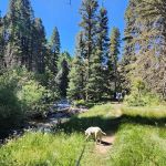 Santa Barbara Campground