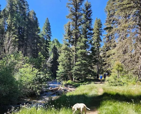 Santa Barbara Campground